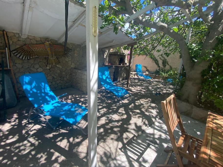 A L'Ombre Du Figuier ! Maisonnette Jardin / Parking / Proche Mer Frontignan Exterior foto